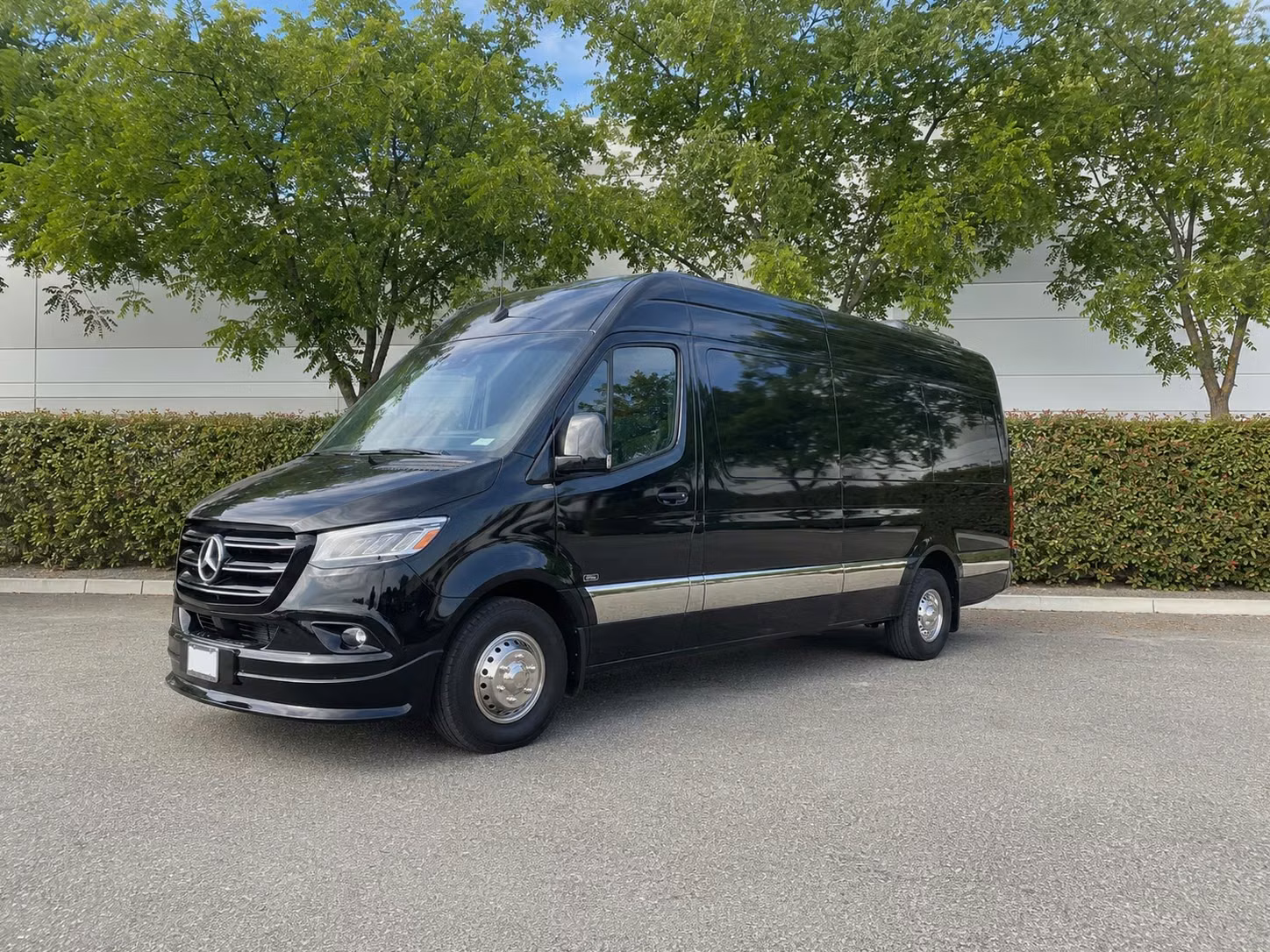 sprinter van with driver